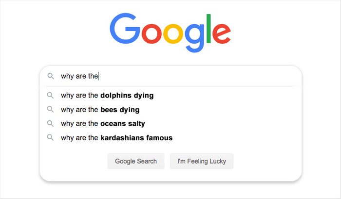 google search auto fill suggestions