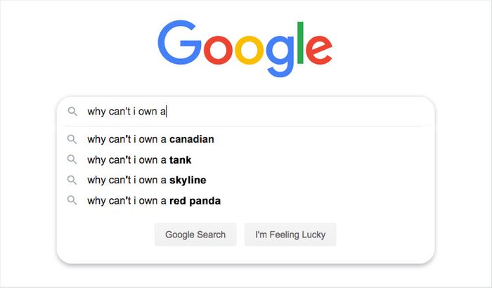 Google search bar suggests queries; "why can't I own a Canadian, tank, skyline, red panda" after typing "why can't I own a".