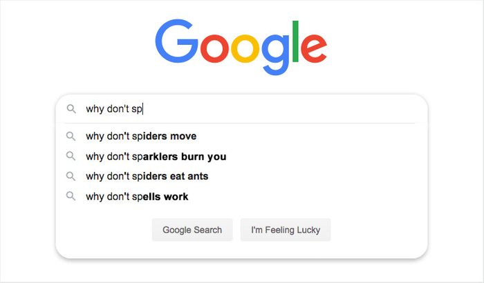 Google search suggests queries like "why don't spiders move" and "why don't sparklers burn you" in a search bar context.