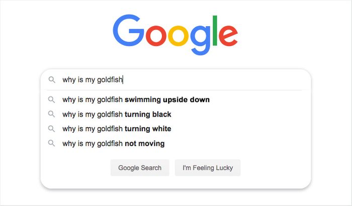 Search bar displays goldfish-related autocomplete queries on Google, including swimming upside down and turning black, set against Google's interface.