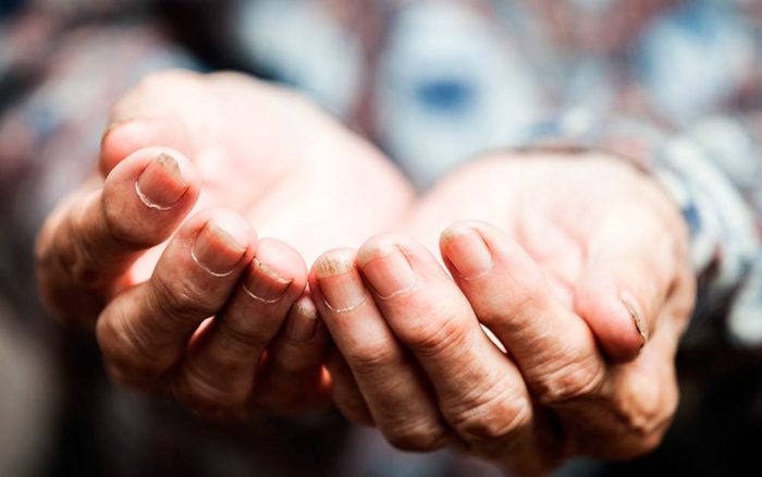 11 Heartwarming True Stories to Restore Your Faith in Humanity