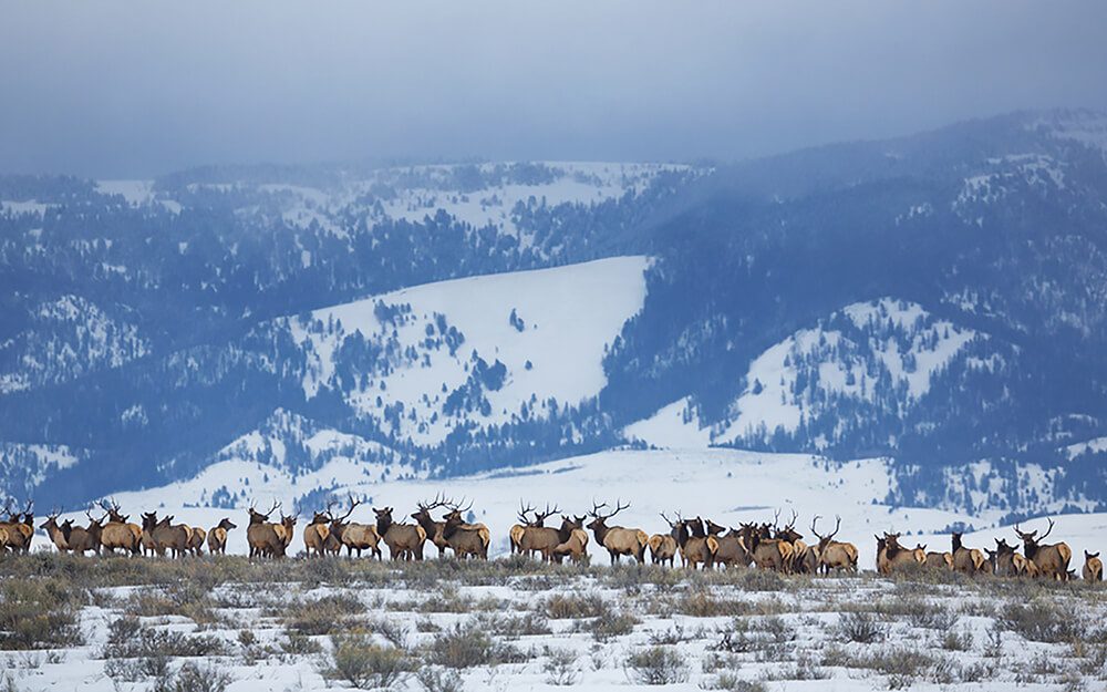 Wyoming