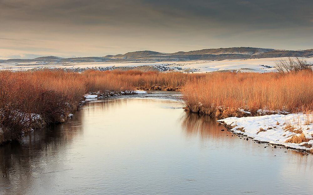 Montana