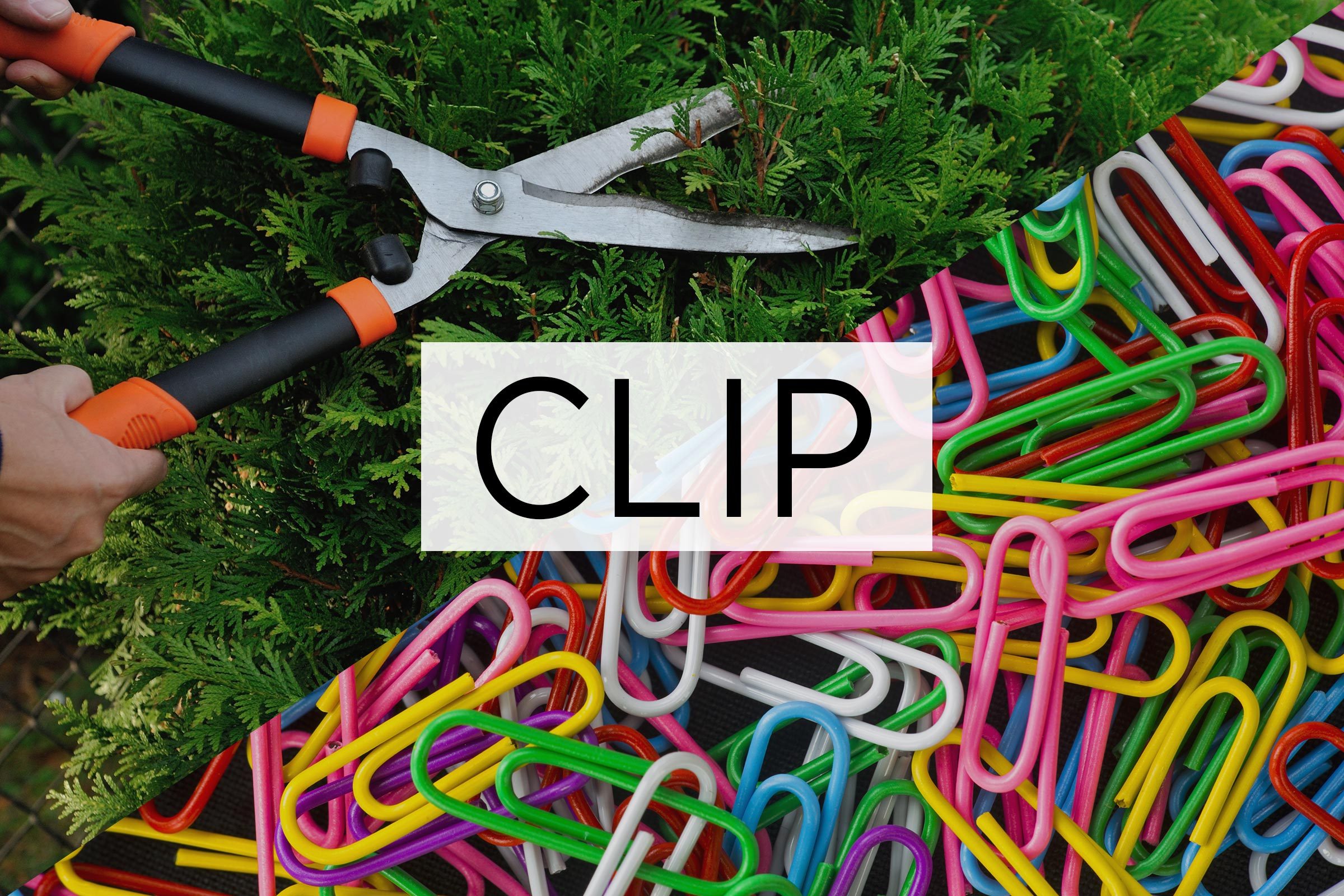 split screen of two meanings of the word clip with the word over the middle