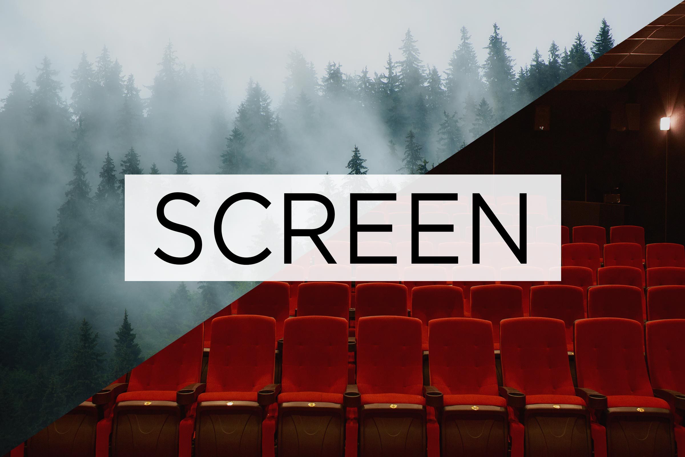 split screen of two meanings of the word screen with the word over the middle