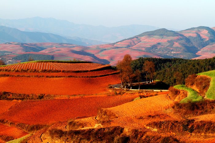 China