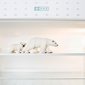 Polar bear figurines stand on a refrigerator shelf; the background is a clean, well-lit, empty fridge interior.