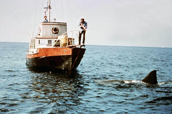 jaws movie quote