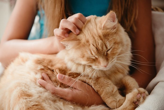 20 Things You Do That Your Cat Actually Hates