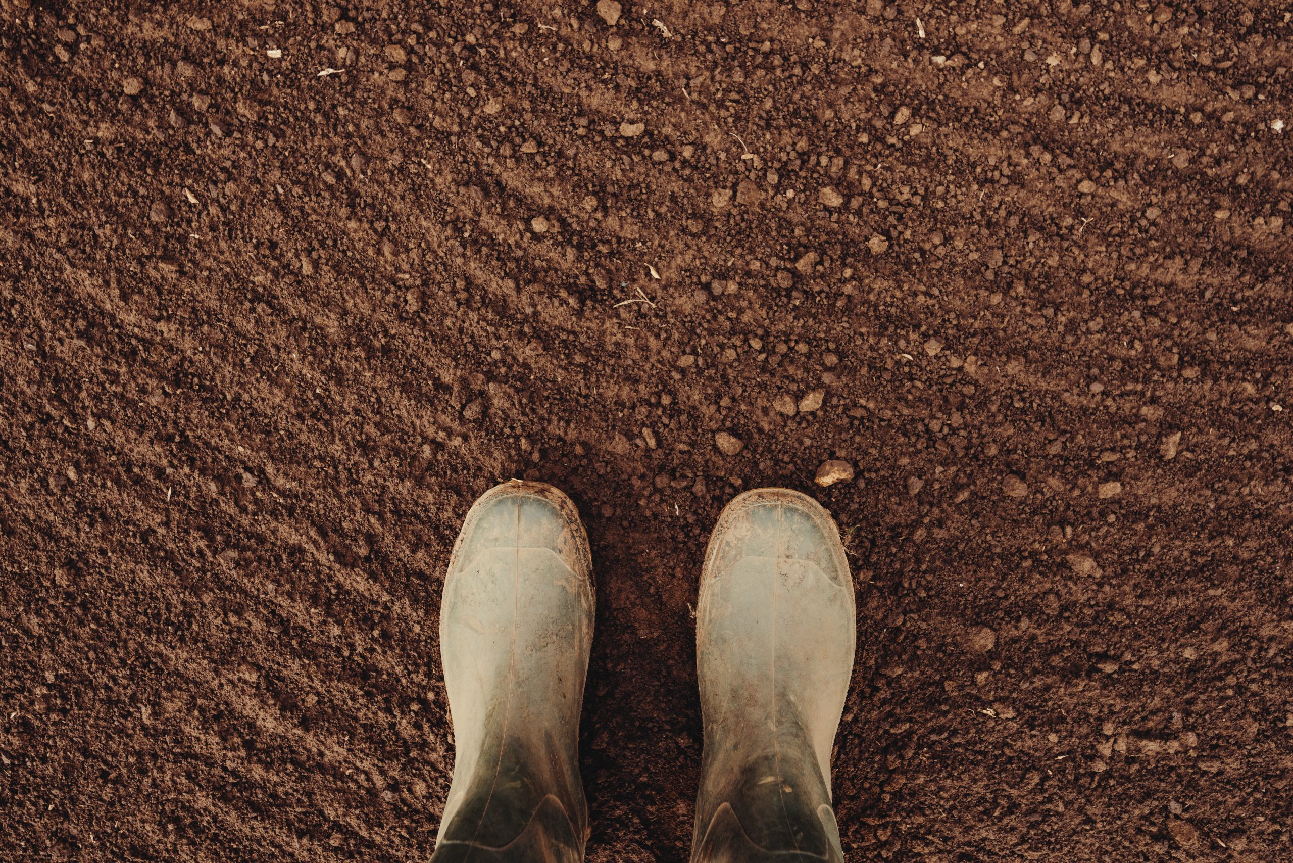 soil
