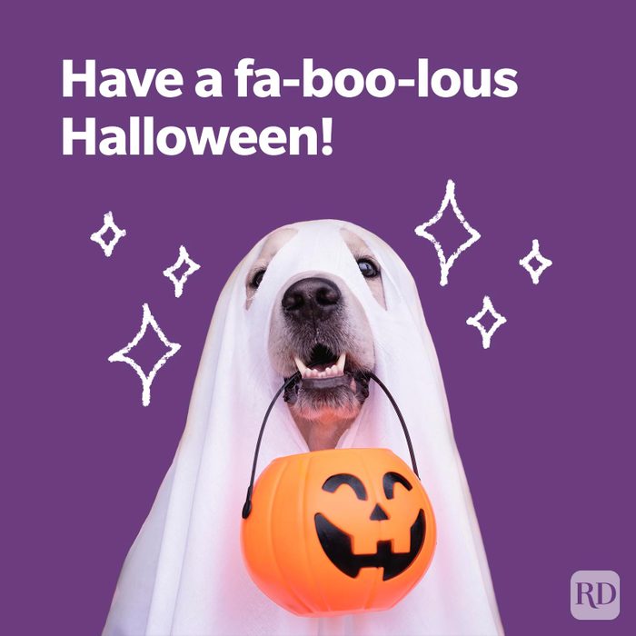 175 Halloween Puns That Will Have You Laughin’ Till You’re Coffin