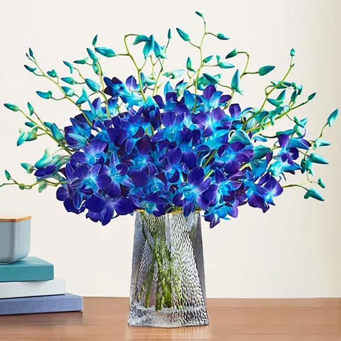 Blue and purple orchids fill a textured glass vase, sitting on a wooden table beside stacked books in a simple indoor setting.