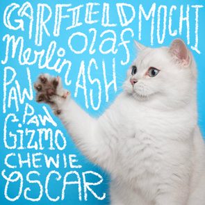 White cat raises paw against a blue background, surrounded by chalk-like names including Garfield, Mochi, Merlin, Olaf, Ash, and more.
