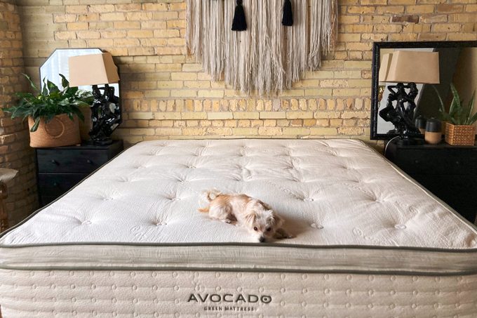 Avocado Green Mattress Review: Upgrade to Better Sleep and Health With This Non-Toxic Organic Mattress