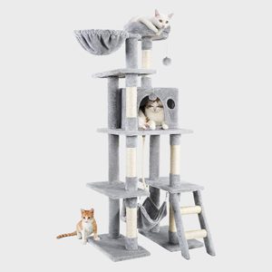 Cats rest on a multi-level grey cat tree with platforms and a hammock, set against a plain background.