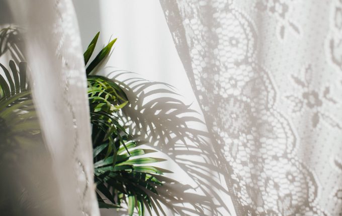 Caring for My Mother’s Plants Is Helping Prepare Me for a Life Without Her