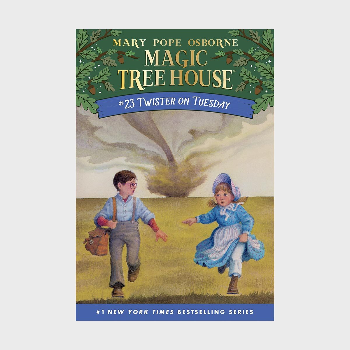 Magic Tree House 23