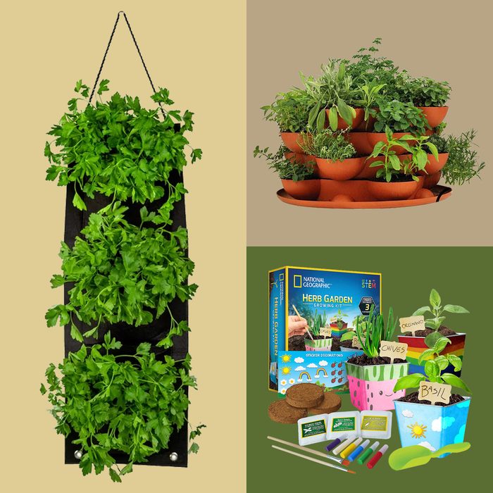 7 Best Indoor Herb Garden Kits Anyone Can Grow at Home