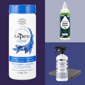 Cleaners sit against color blocks; Aspen Clean powder with leaves, Puracy dish soap with greenery, stainless steel cleaner with cloth.