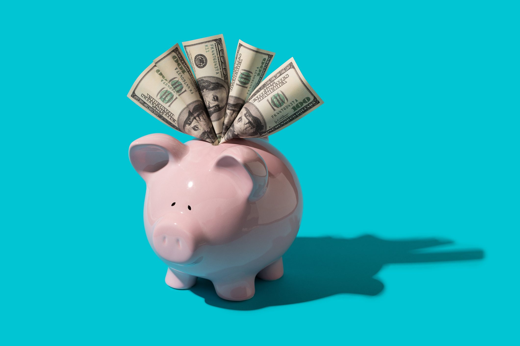 Piggy bank holds upright dollar bills, casting a shadow, against a bright turquoise background.