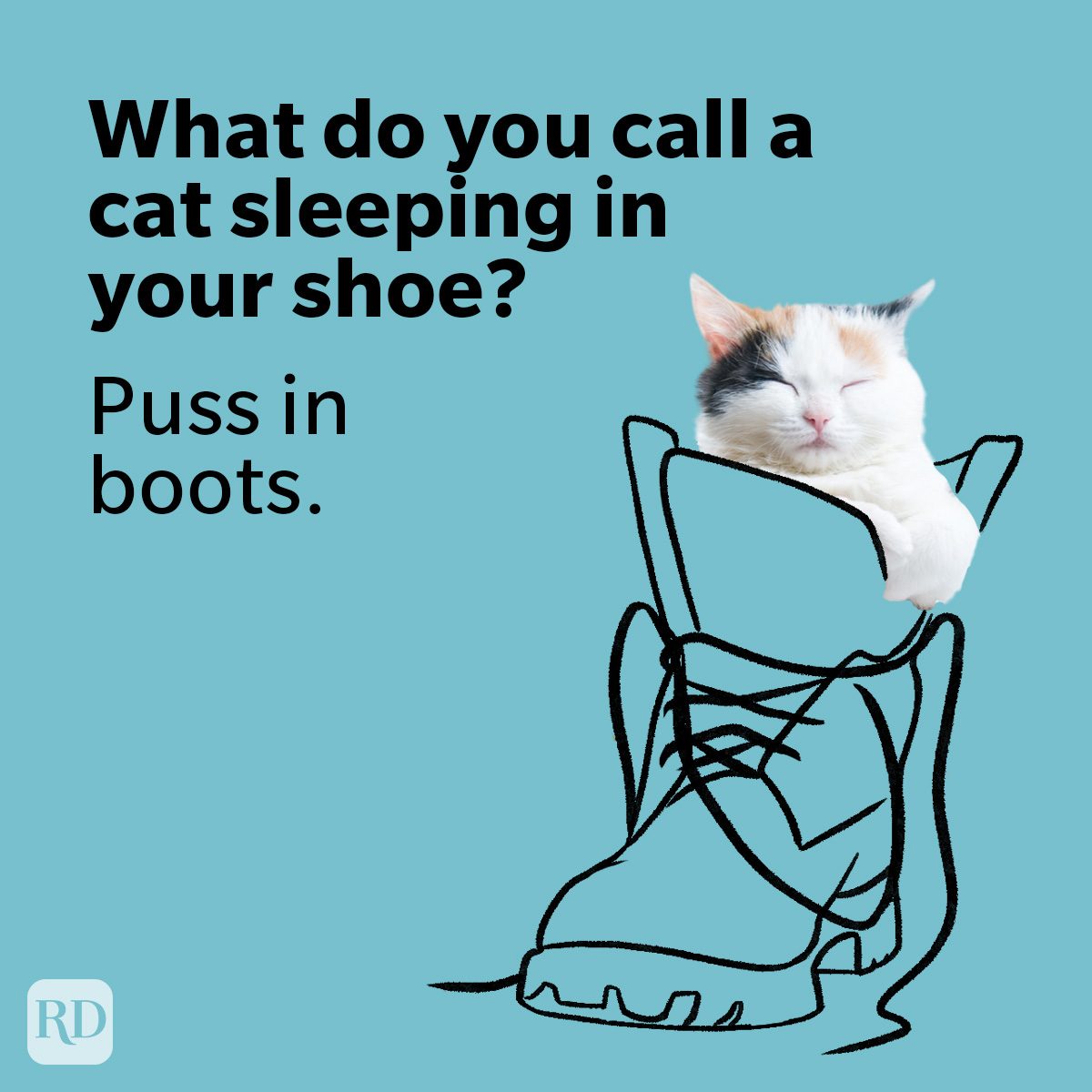 Cat sleeps inside a boot illustration; text reads, â€œWhat do you call a cat sleeping in your shoe? Puss in boots.â€