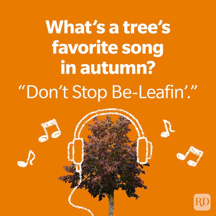 100 Fall Jokes That Are Funny Beyond Be-Leaf