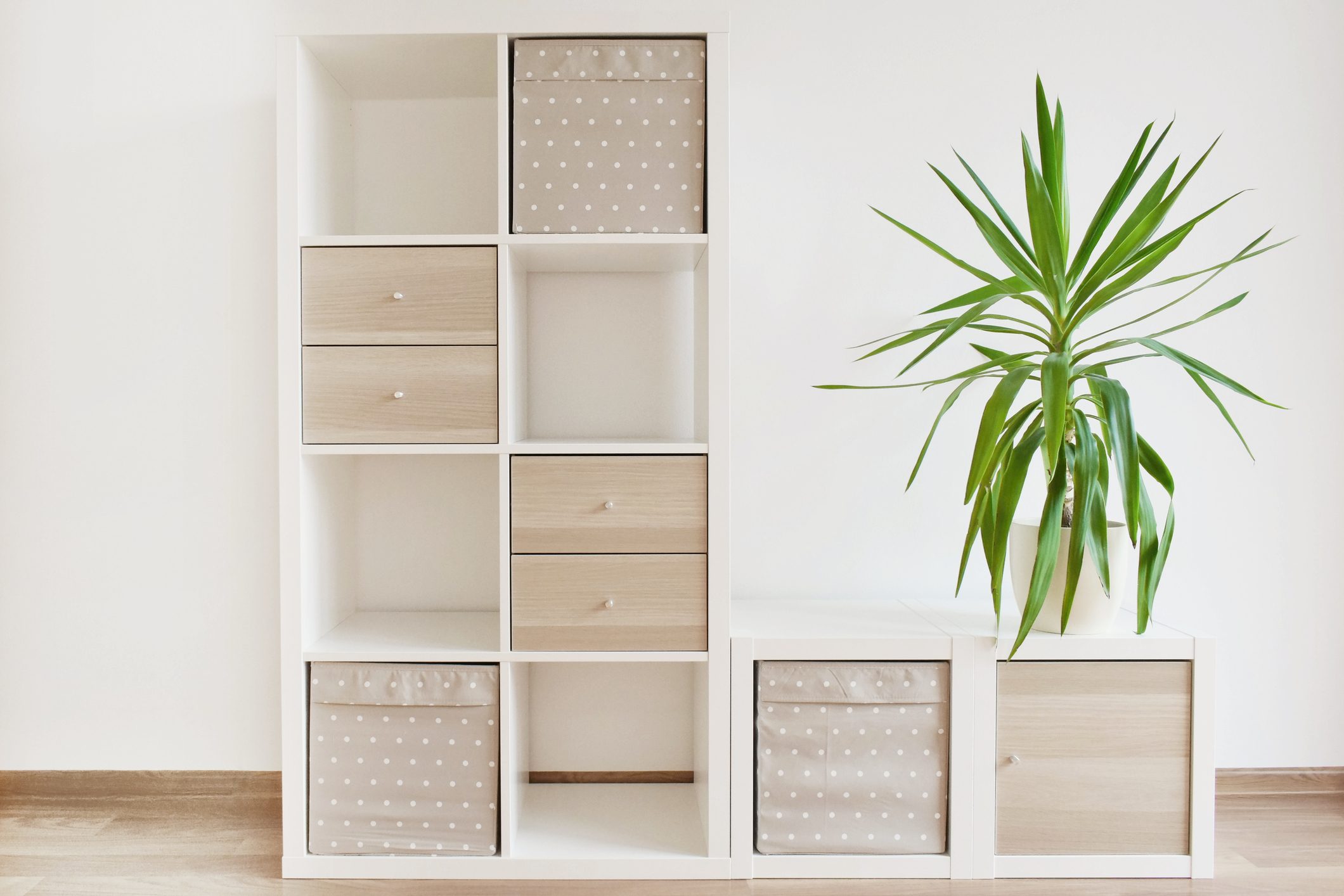 Modern furniture, white shelves