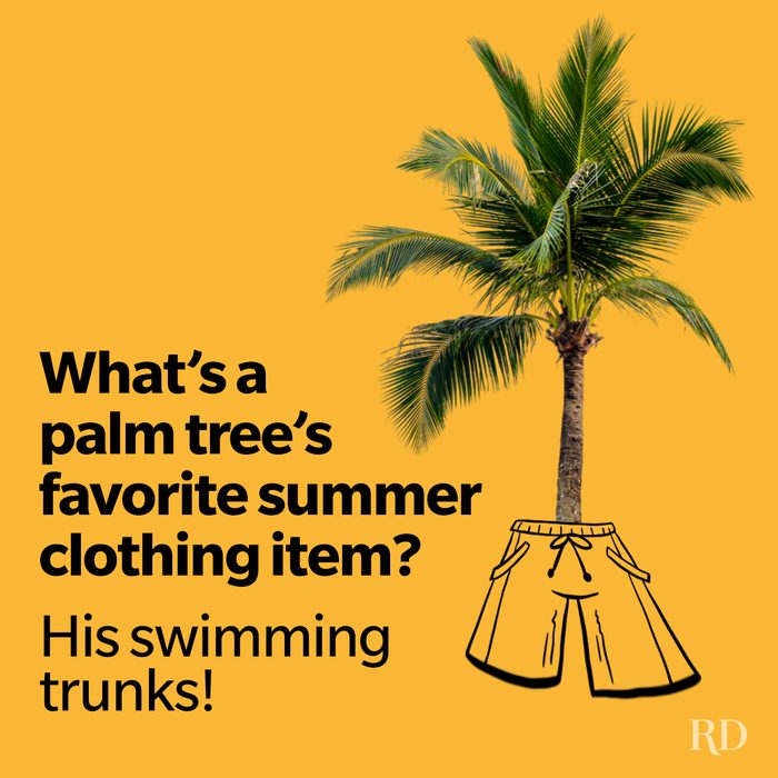 85 Summer Jokes That’ll Turn Up the Heat—And Hilarity