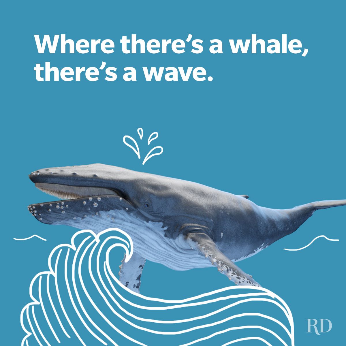 An ocean pun about a whale depicting a huge whale with doodled waves around it.