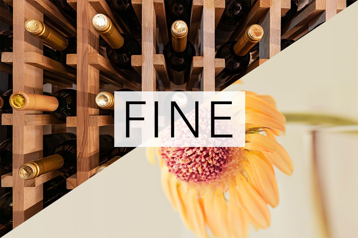 split screen of two meanings of the word fine with the word over the middle