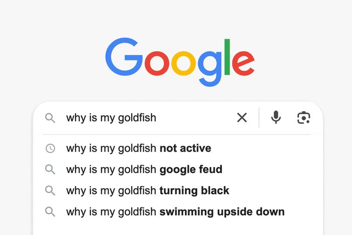 20 Funny Google Searches for When You’re Looking for Laughs