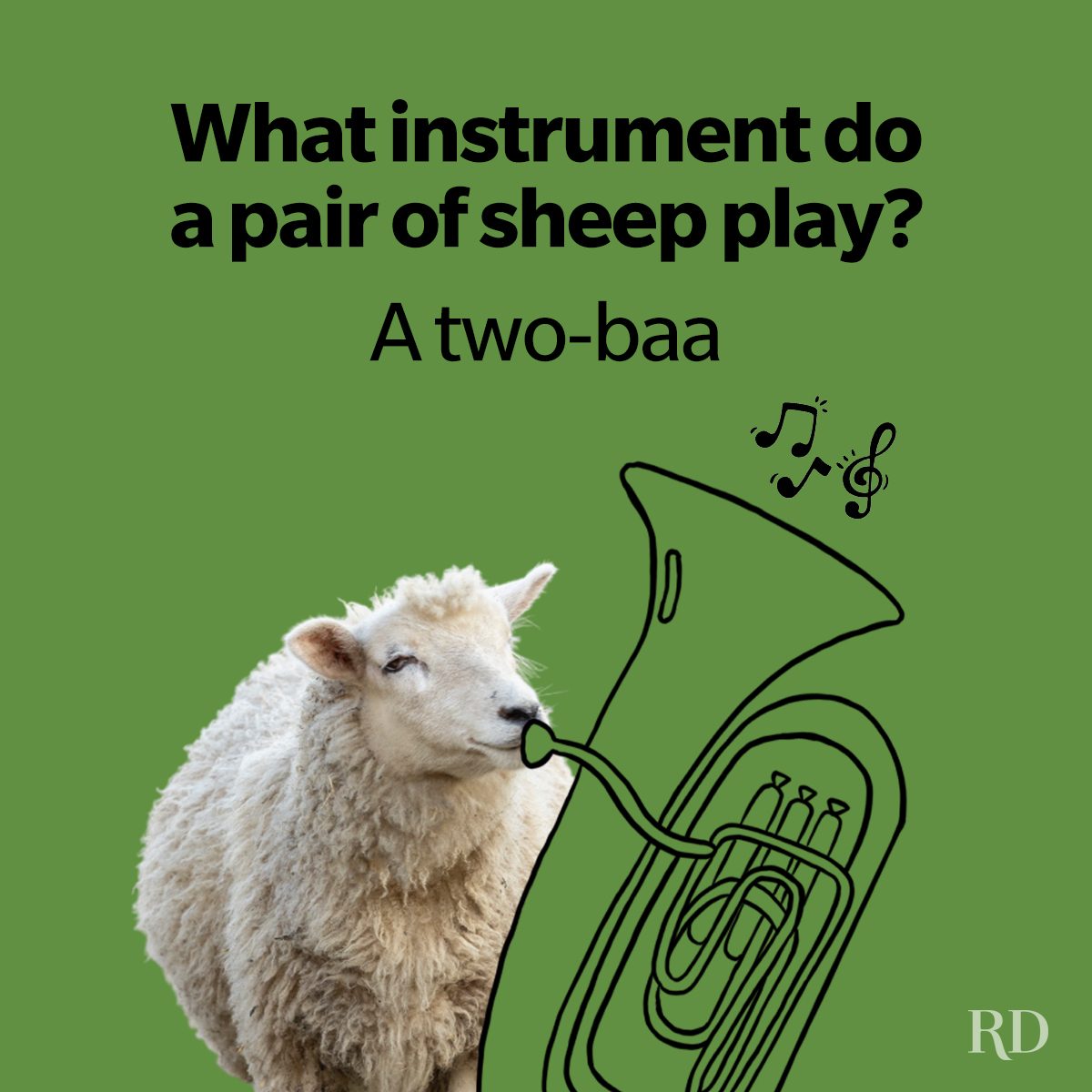 36 Sheep Puns That Are Perfect For Ewe 4