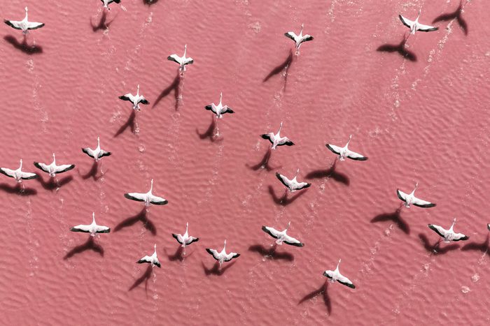 6 Naturally Beautiful Pink Lakes from Around the World
