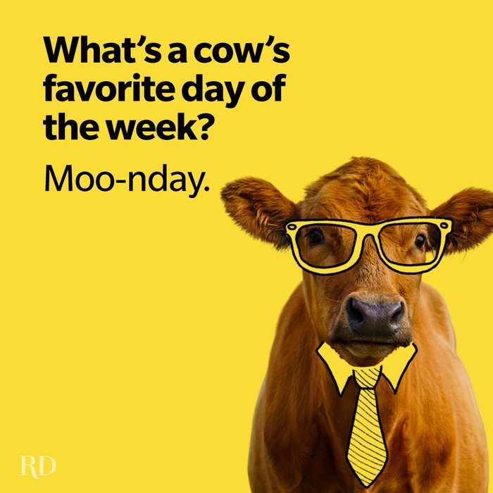 70 Funny Monday Jokes to Get You Through the Week