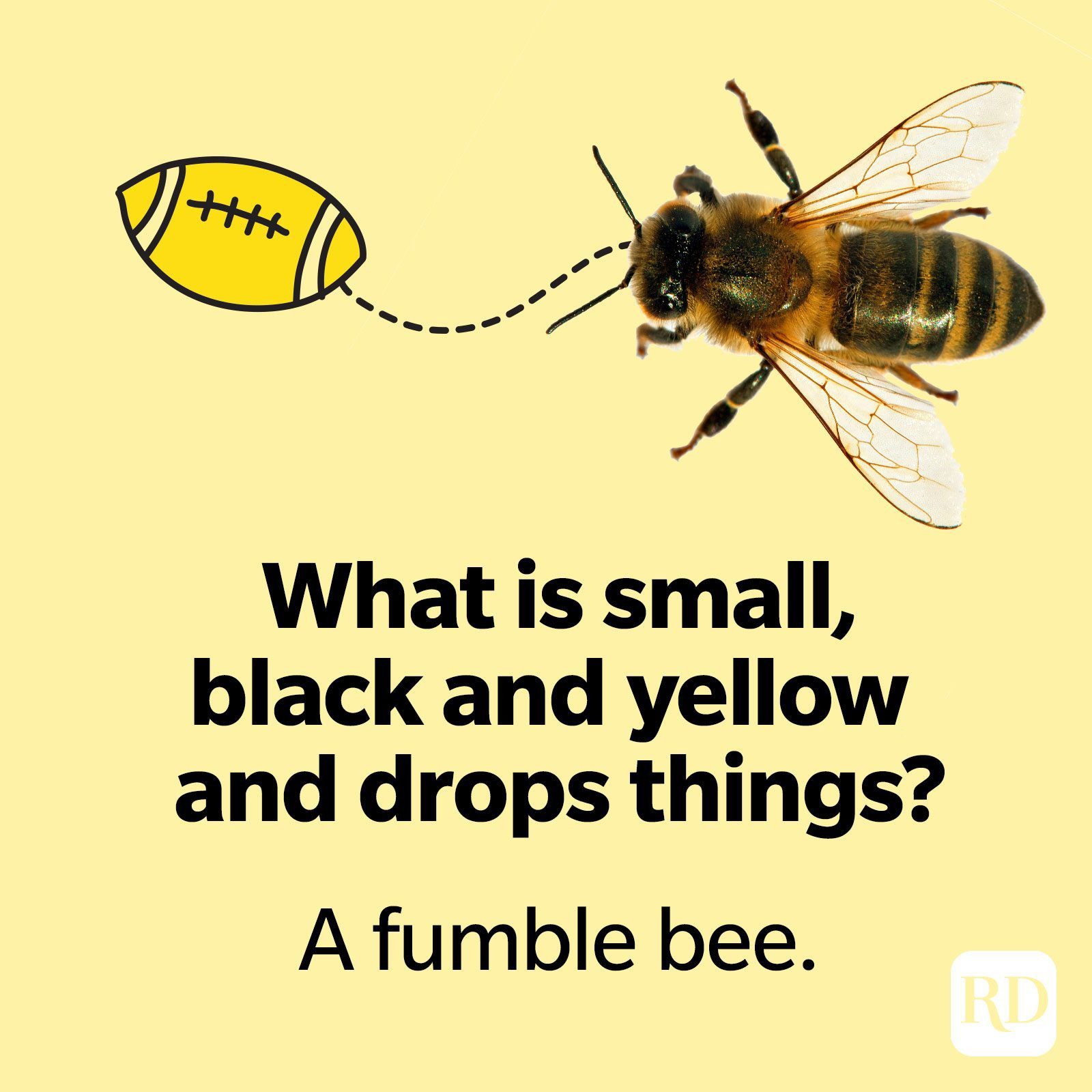 Beepun3 2