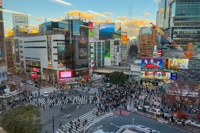 The 20 Largest Cities in the World