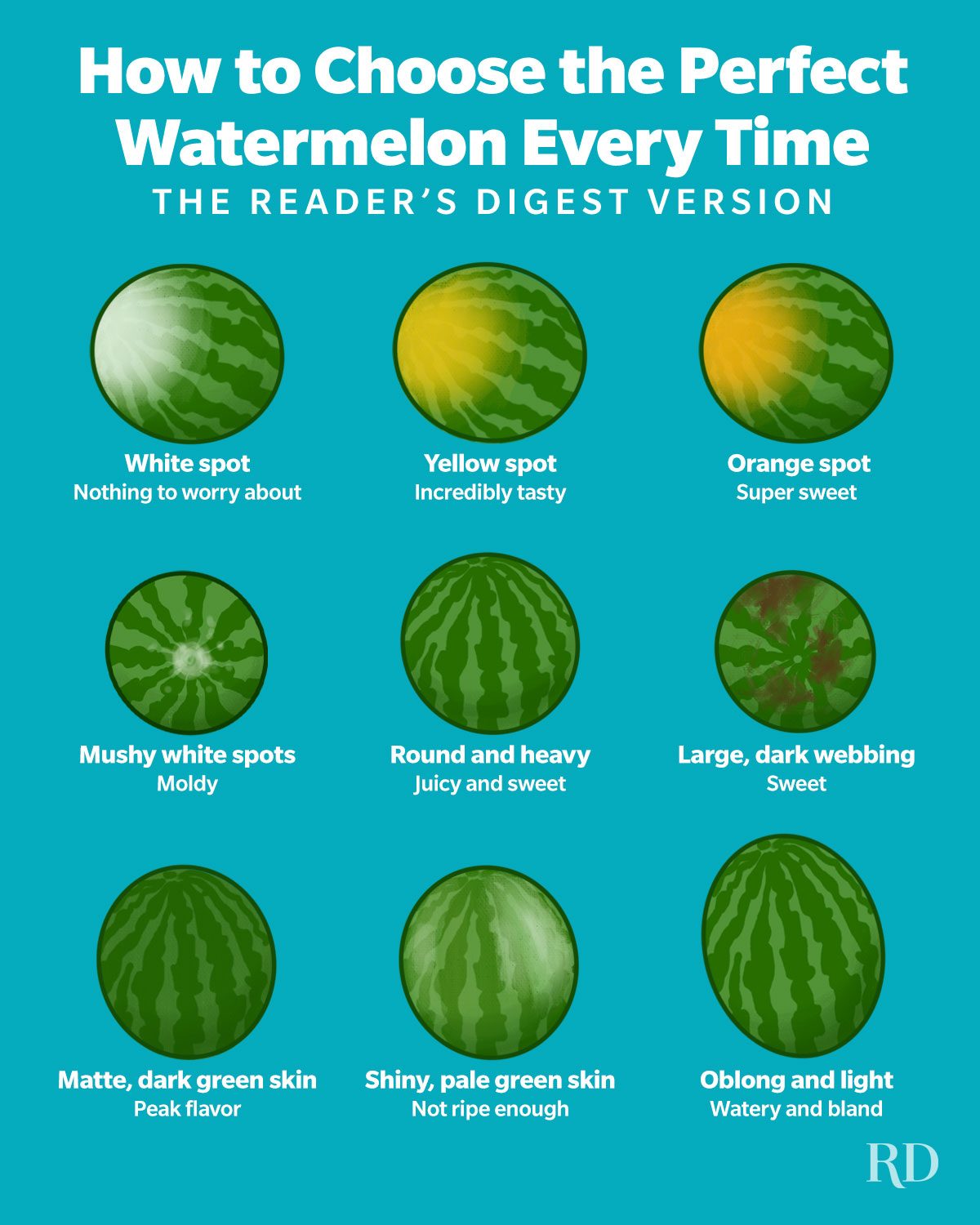 A guide to choose the perfect watermelon based on outer appearances of the fruit. Displays differently sized, shaped and textured watermelons.