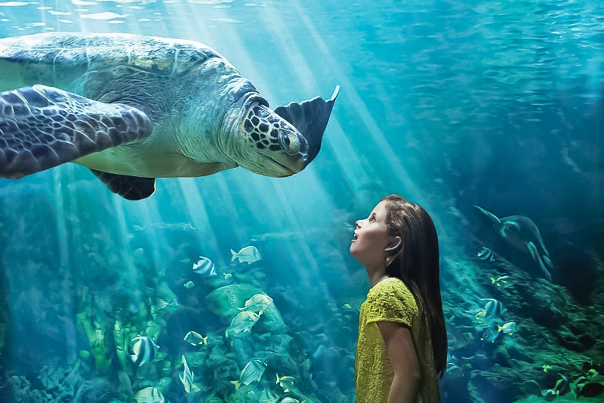 Seaworld