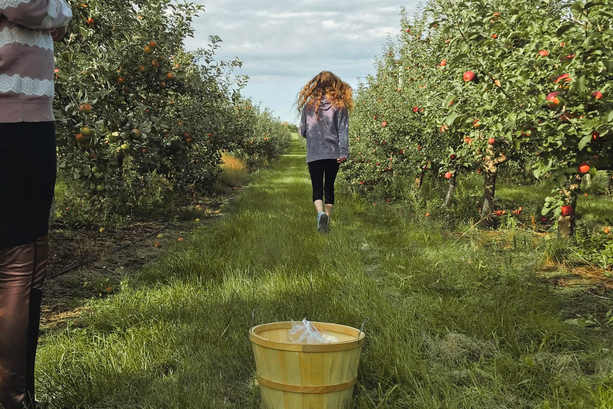girl walking through pick-your-own apple orchard