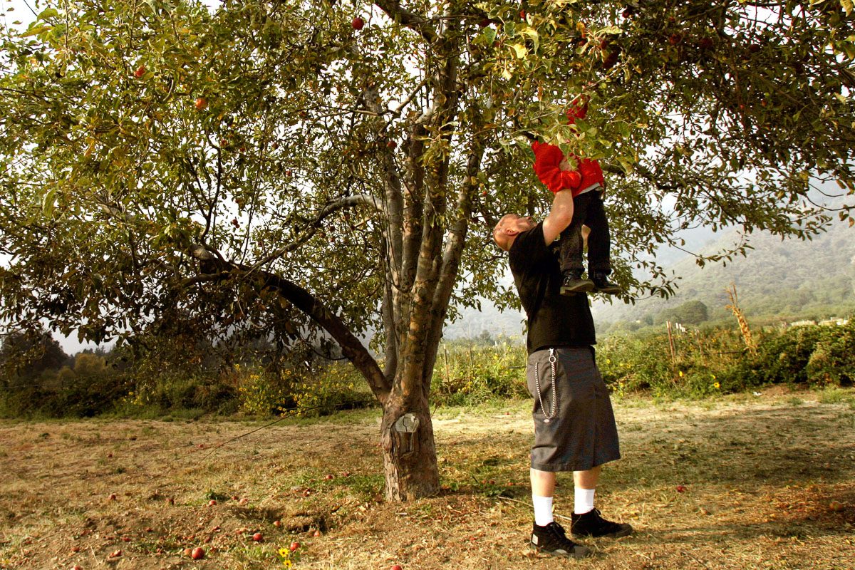 Matt Keding of Rialto lifts his son Evan,4, to pick an out of reach apple on a recent Saturday at Los Rios Ranch in Oak Glen