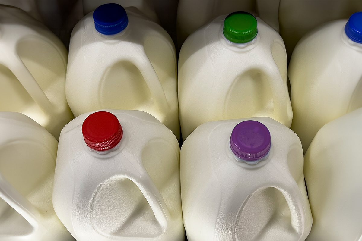Several plastic milk jugs are arranged closely together, each with a different colored cap, including red, blue, green, and purple, creating a pattern among the white containers.