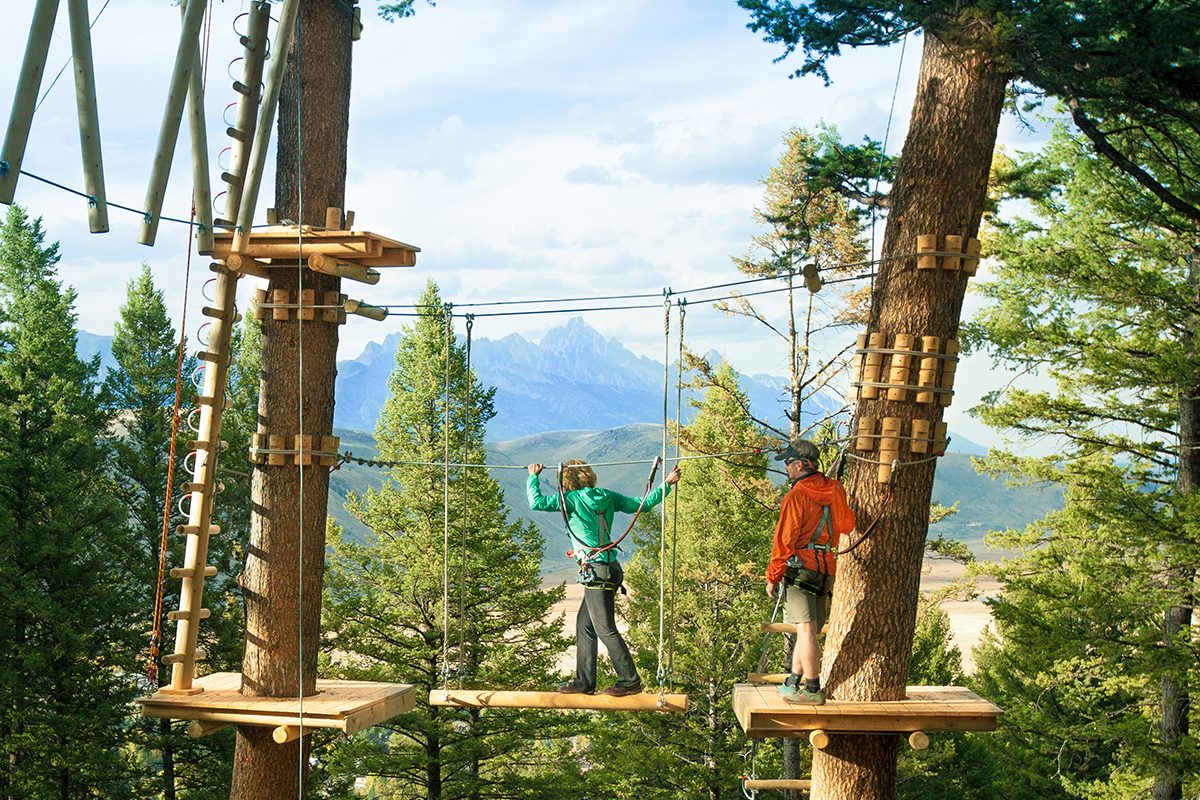 Treetop Adventure