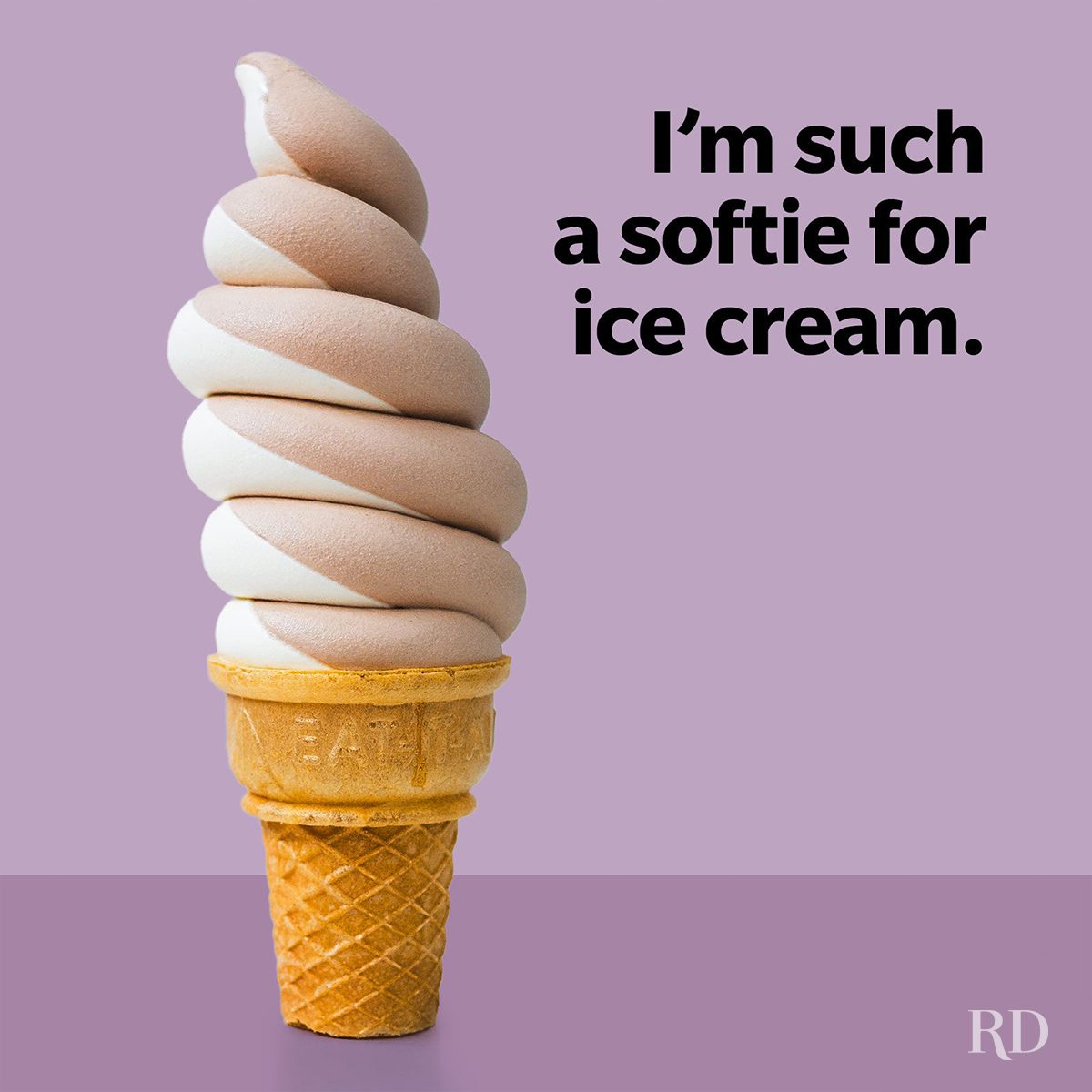 Ice Cream Puns Softie For Ice Cream