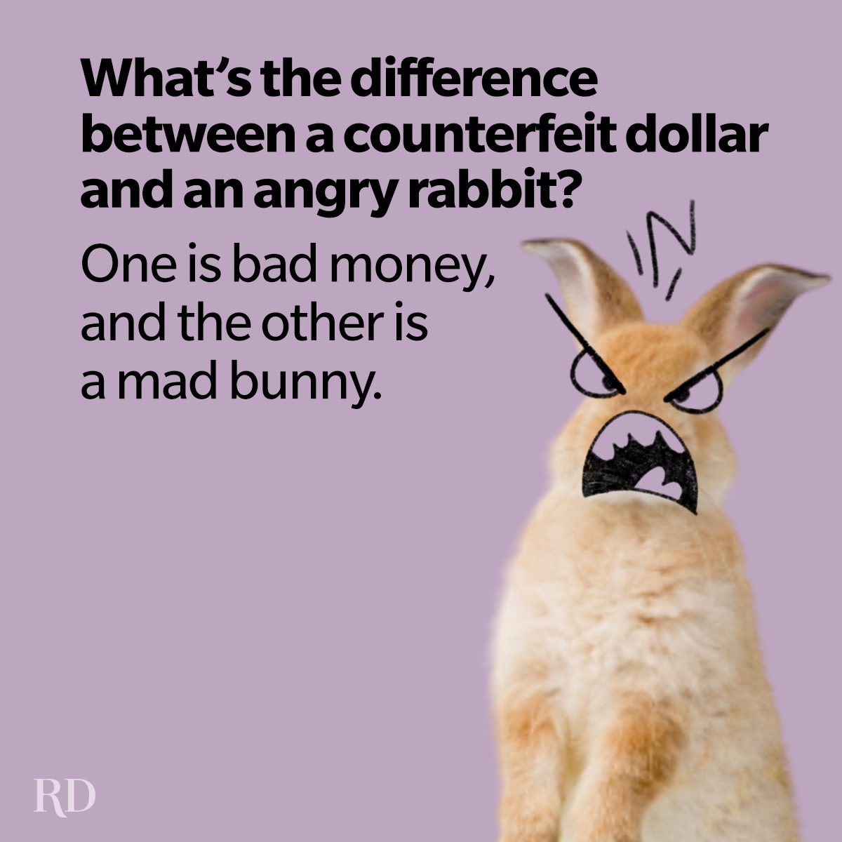 What Is The Difference Between Jokes That Make You Think